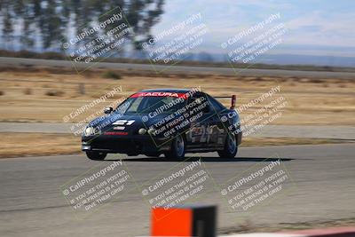 media/Nov-16-2024-CalClub SCCA (Sat) [[641f3b2761]]/Group 4/Grid and Front Straight/